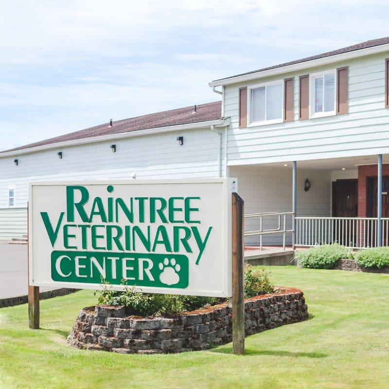 Raintree Veterinary Hospital in Hoquiam