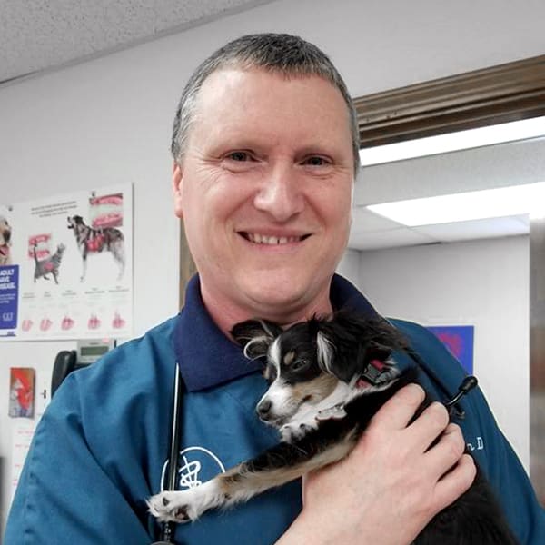 Dr. Dan Brown, Hoquiam Veterinarian