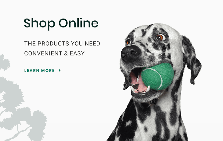 Shop for Pet Products Online in Hoquiam